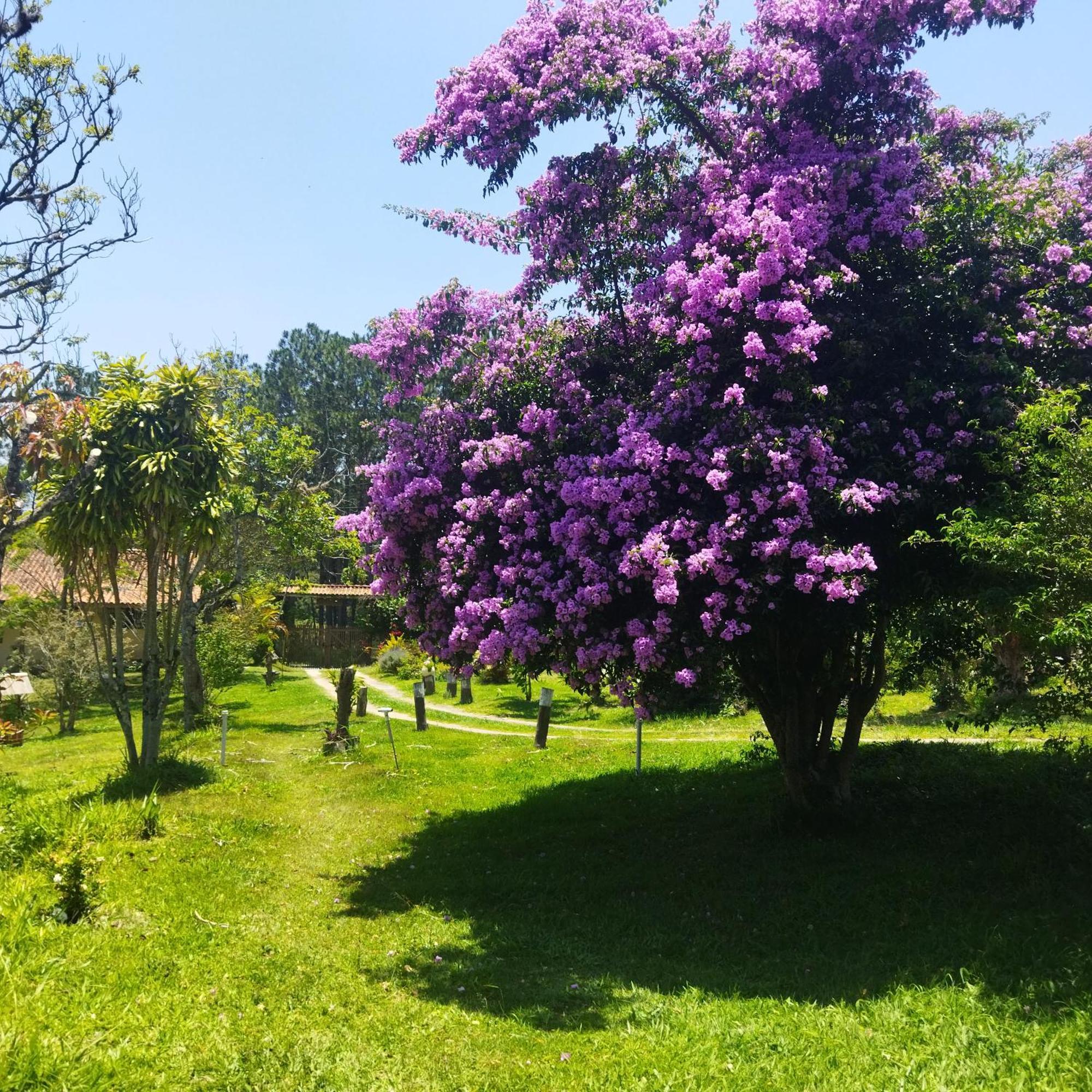 Chacara Aquila Villa São Roque Dış mekan fotoğraf